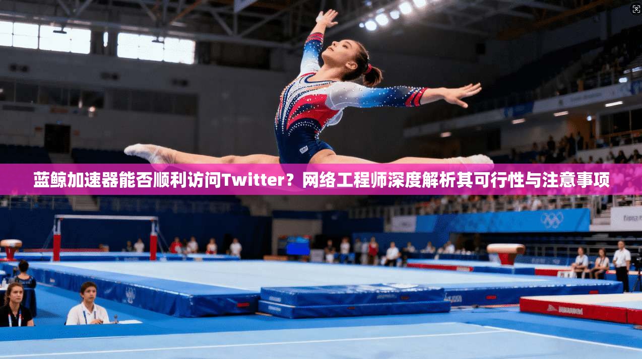 蓝鲸加速器能否顺利访问Twitter?网络工程师深度解析其可行性与注意事项