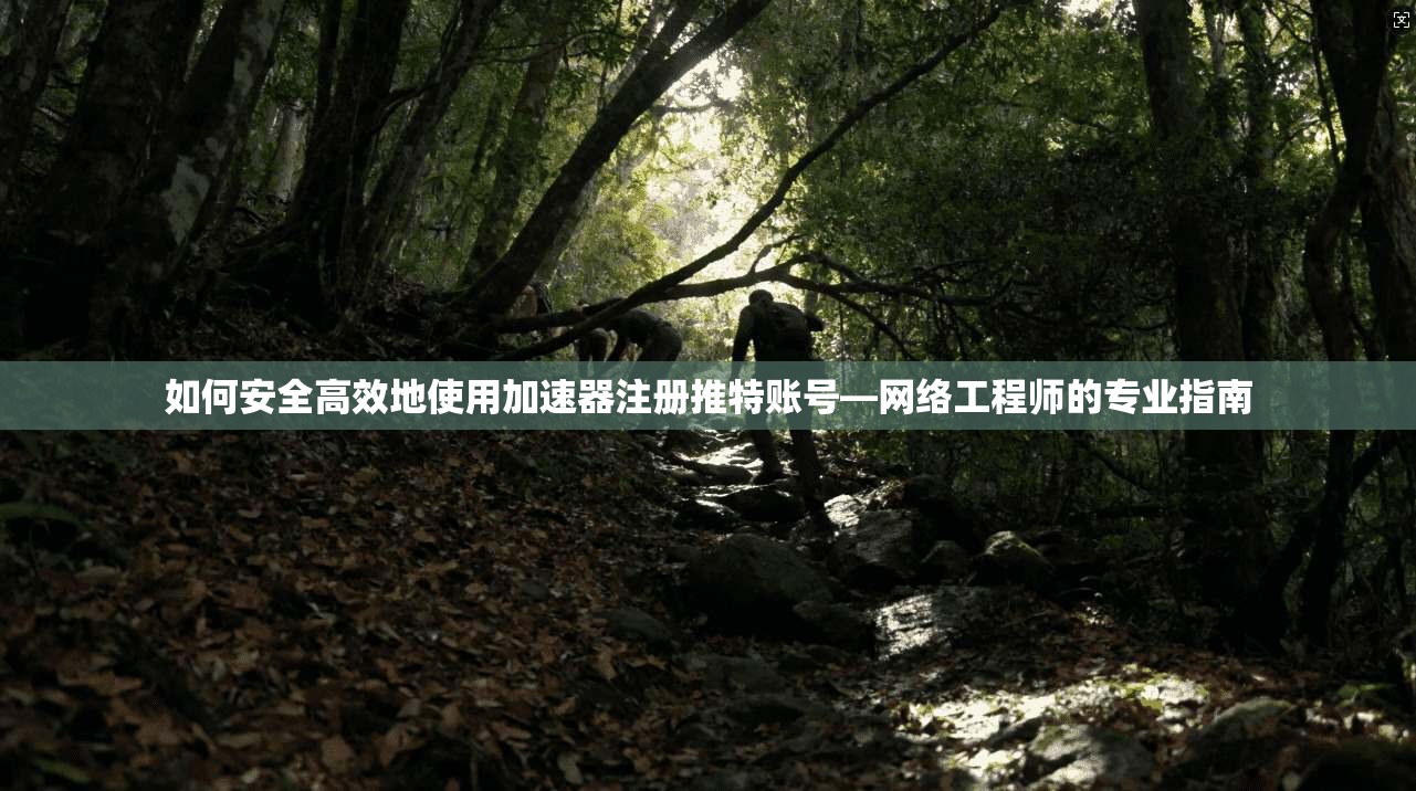 如何安全高效地使用加速器注册推特账号—网络工程师的专业指南