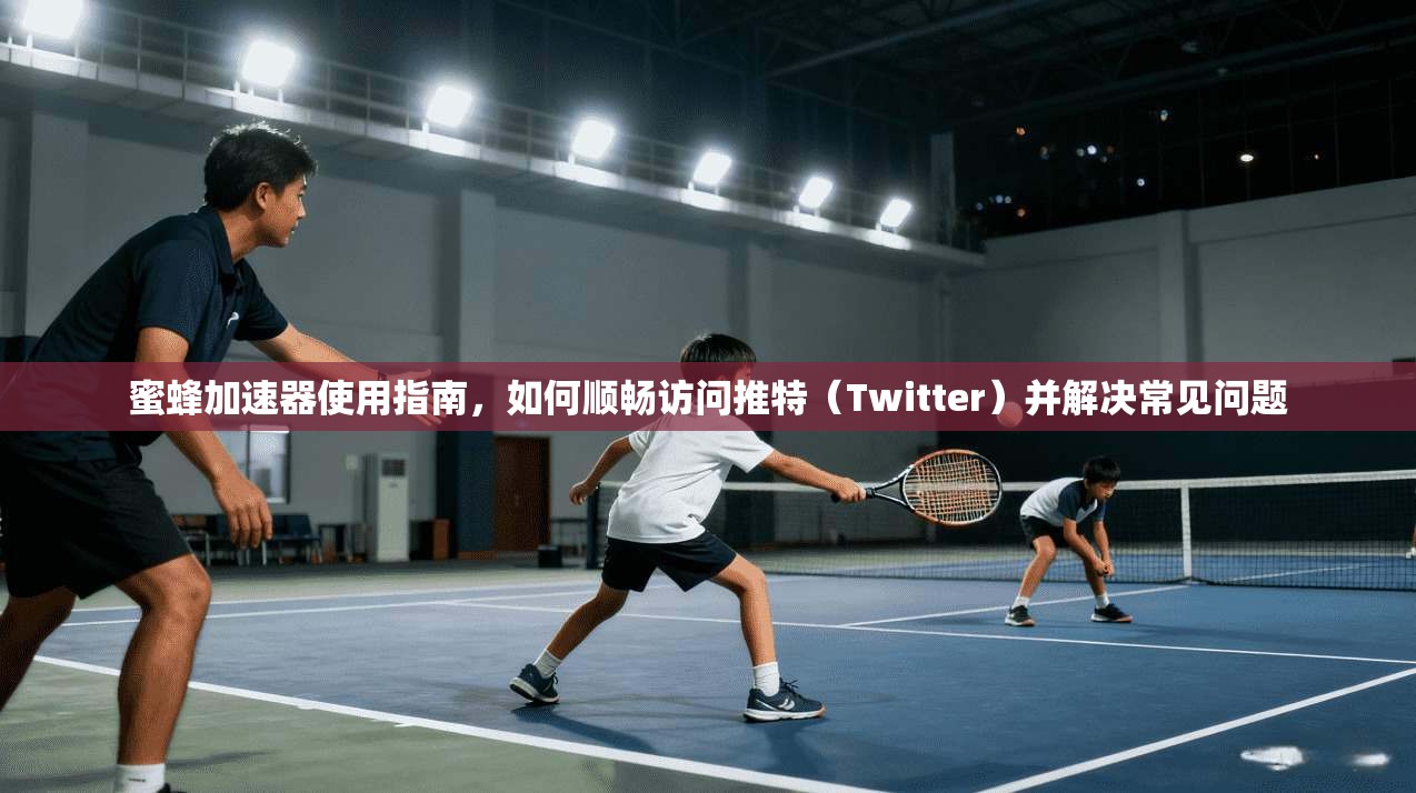 蜜蜂加速器使用指南,如何顺畅访问推特(Twitter)并解决常见问题