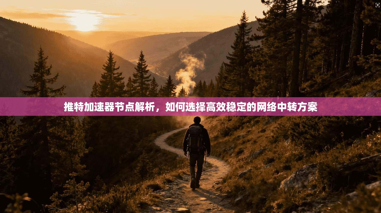 推特加速器节点解析,如何选择高效稳定的网络中转方案