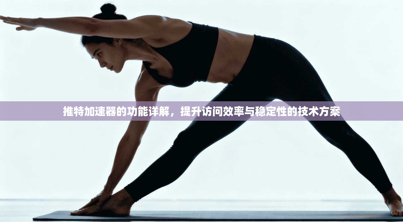 推特加速器的功能详解,提升访问效率与稳定性的技术方案