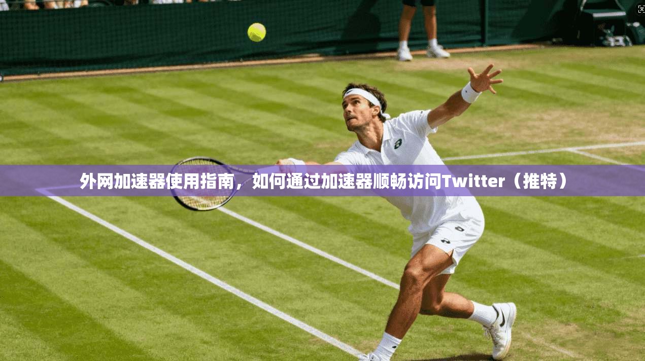 外网加速器使用指南,如何通过加速器顺畅访问Twitter(推特)