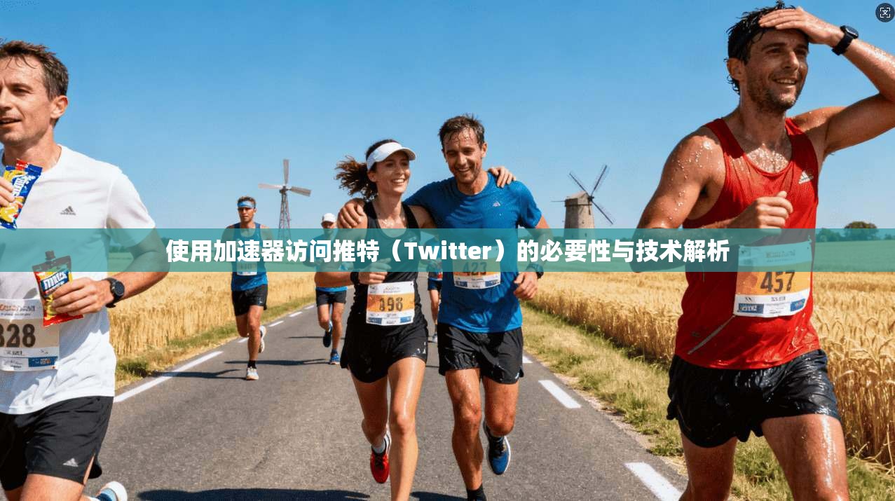 使用加速器访问推特（Twitter）的必要性与技术解析