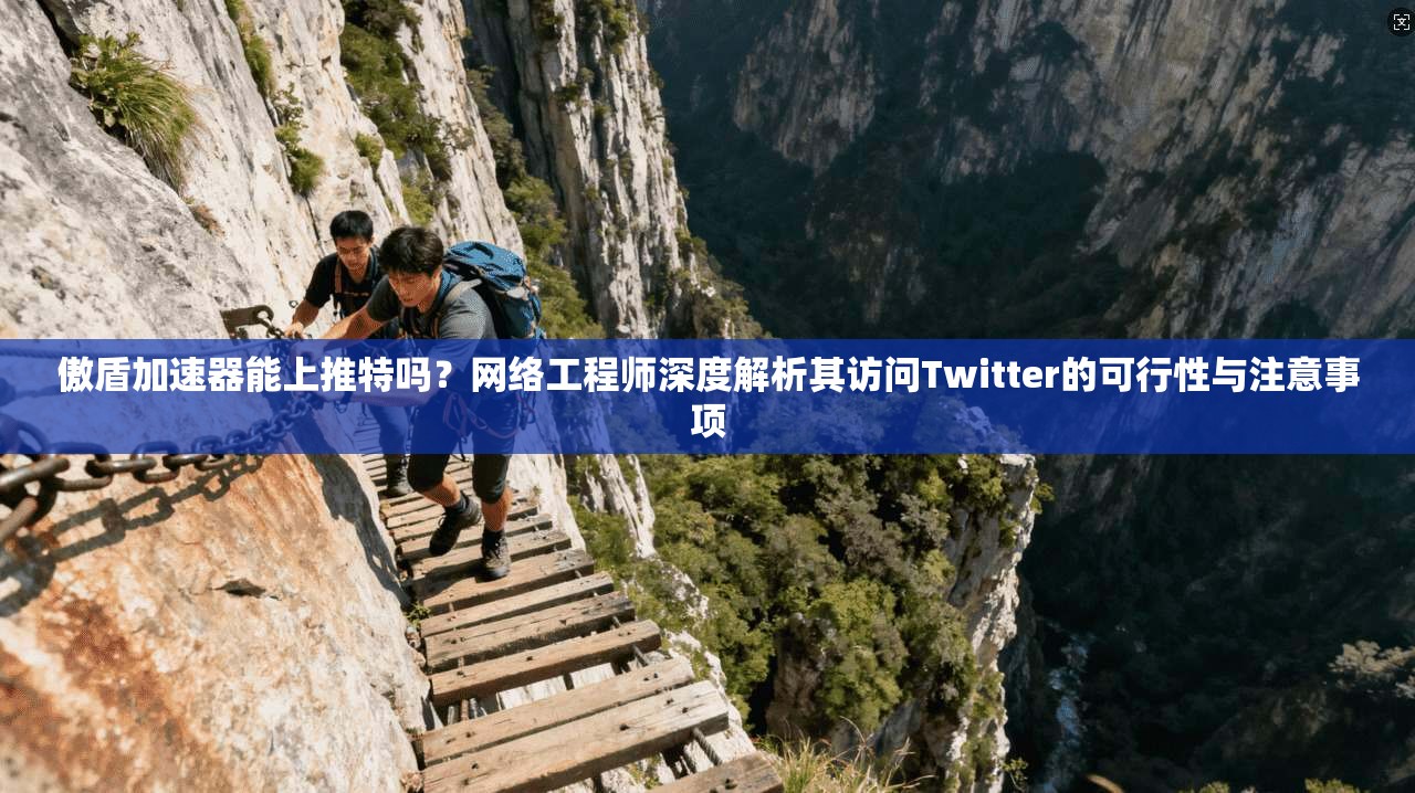 傲盾加速器能上推特吗？网络工程师深度解析其访问Twitter的可行性与注意事项