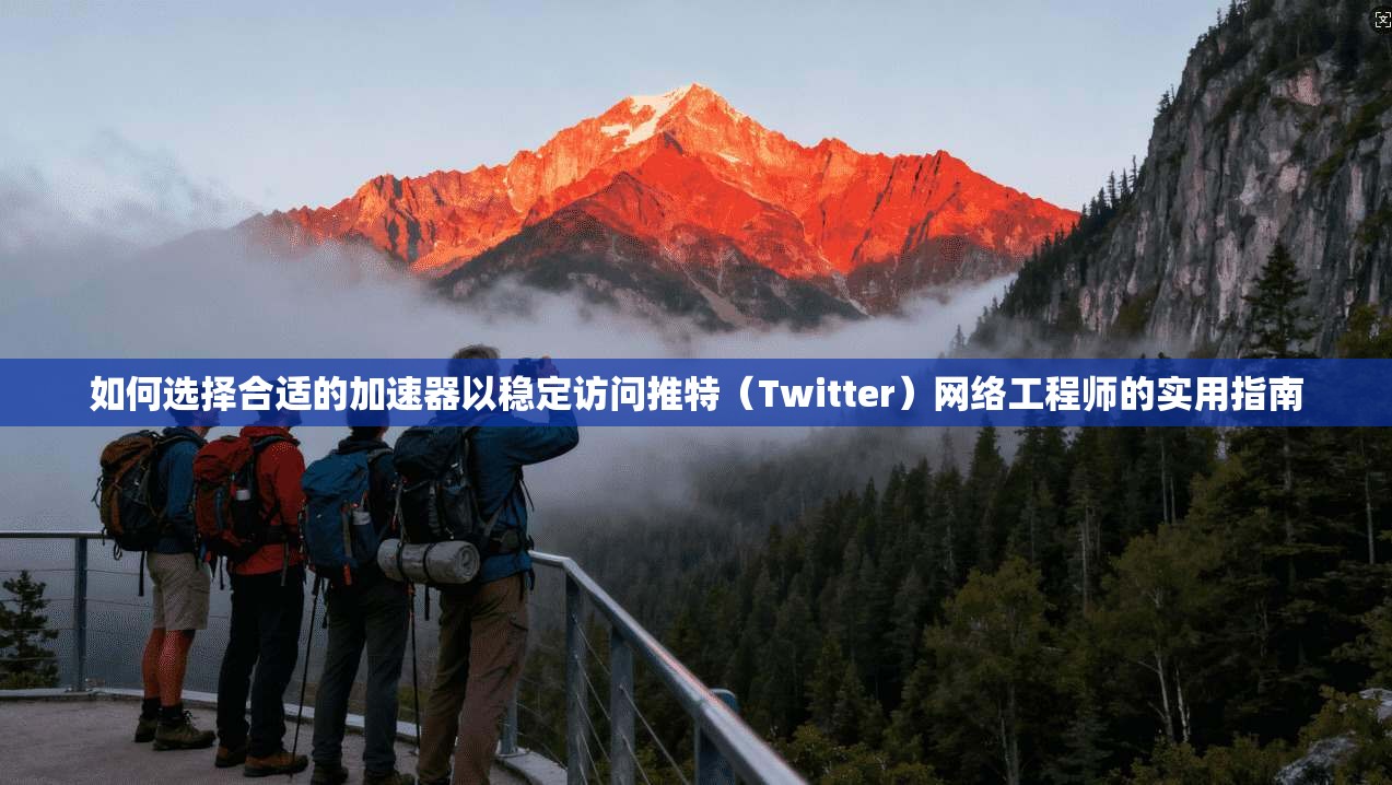 如何选择合适的加速器以稳定访问推特(Twitter)网络工程师的实用指南
