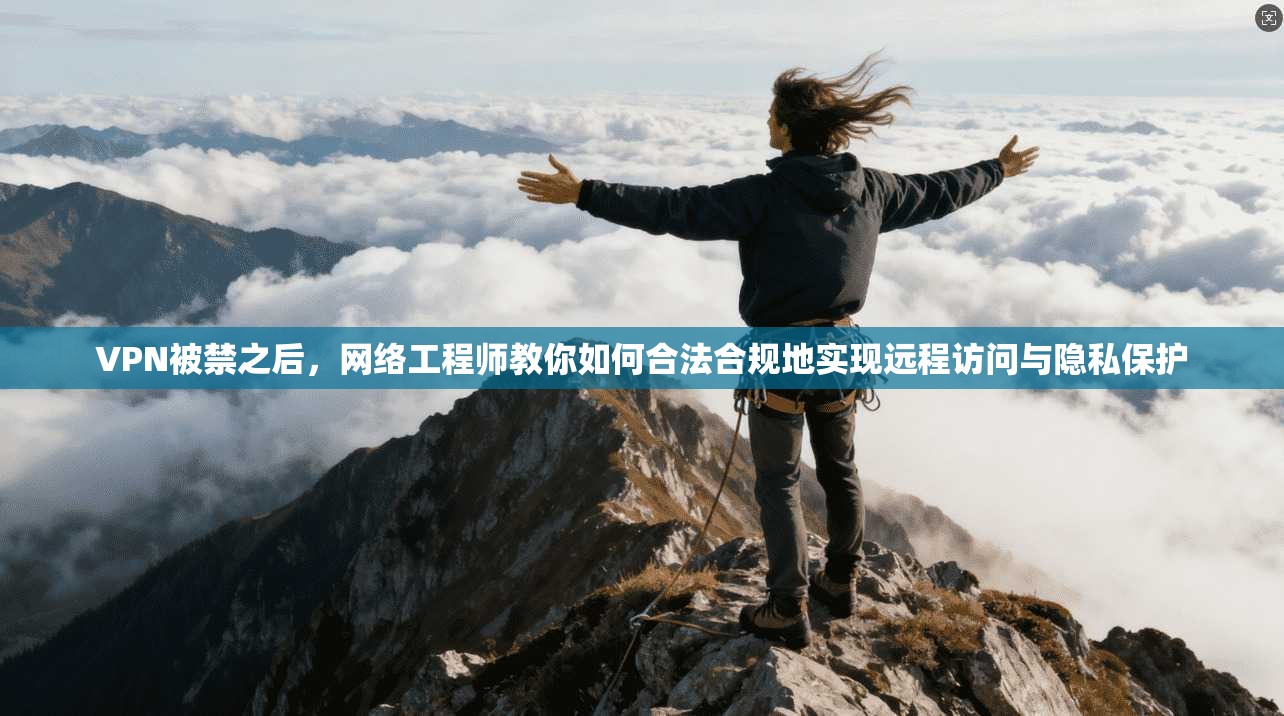 VPN被禁之后,网络工程师教你如何合法合规地实现远程访问与隐私保护