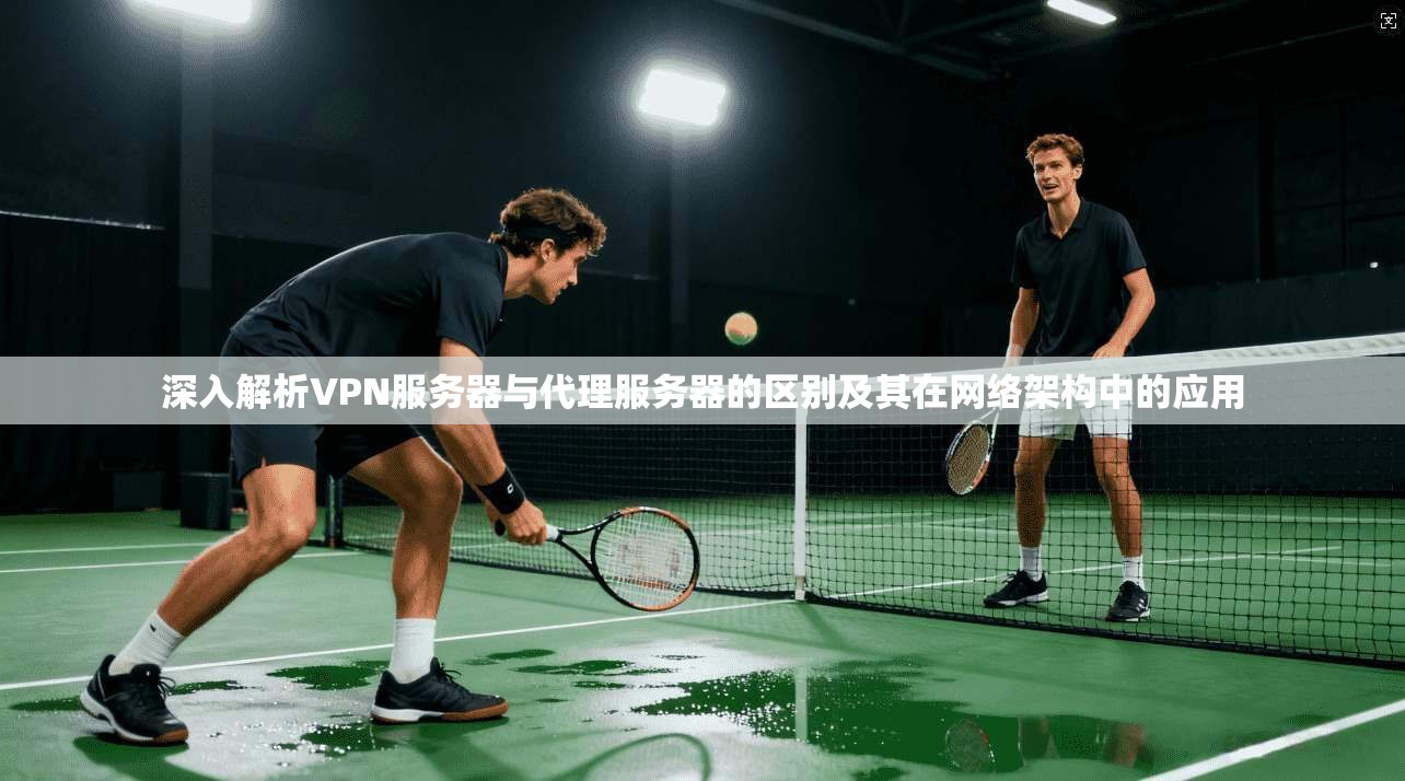 深入解析VPN服务器与代理服务器的区别及其在网络架构中的应用