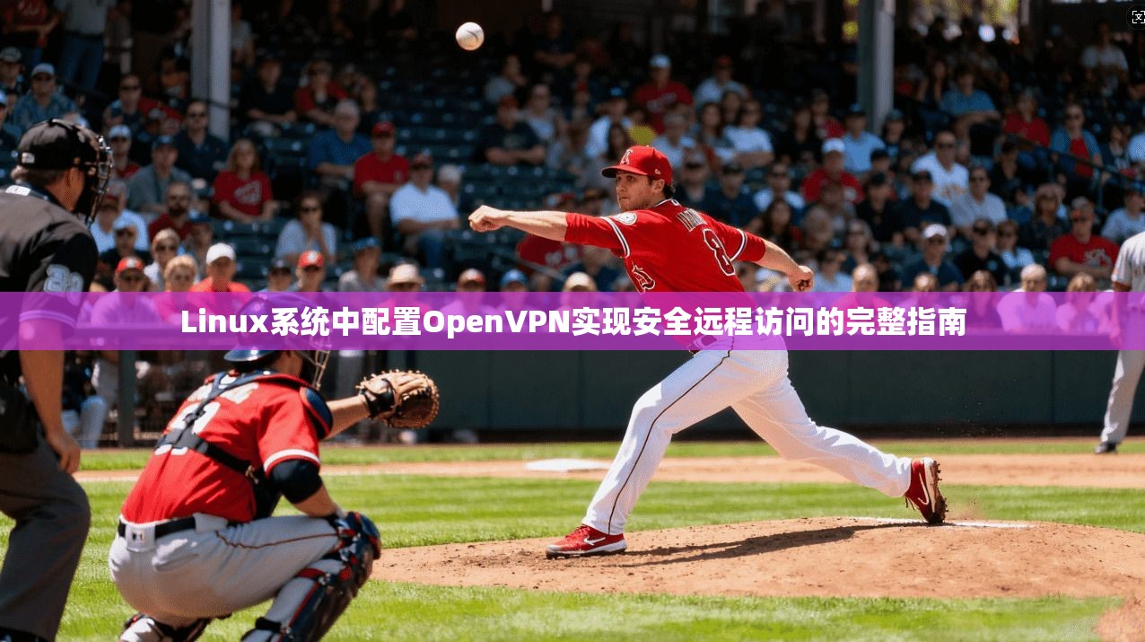 Linux系统中配置OpenVPN实现安全远程访问的完整指南