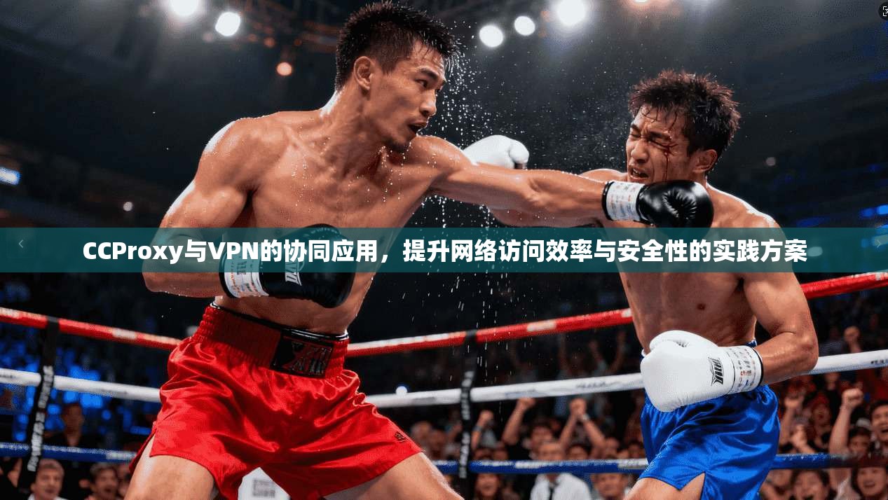 CCProxy与VPN的协同应用，提升网络访问效率与安全性的实践方案