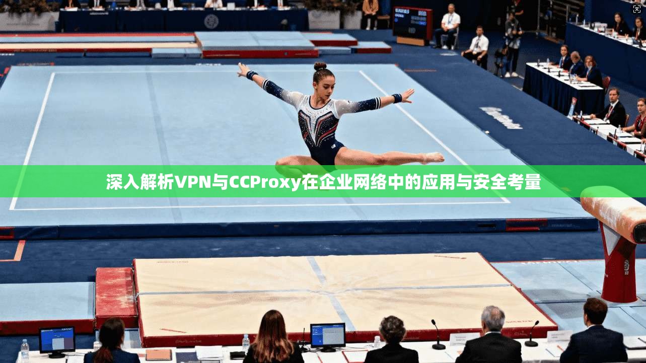 深入解析VPN与CCProxy在企业网络中的应用与安全考量