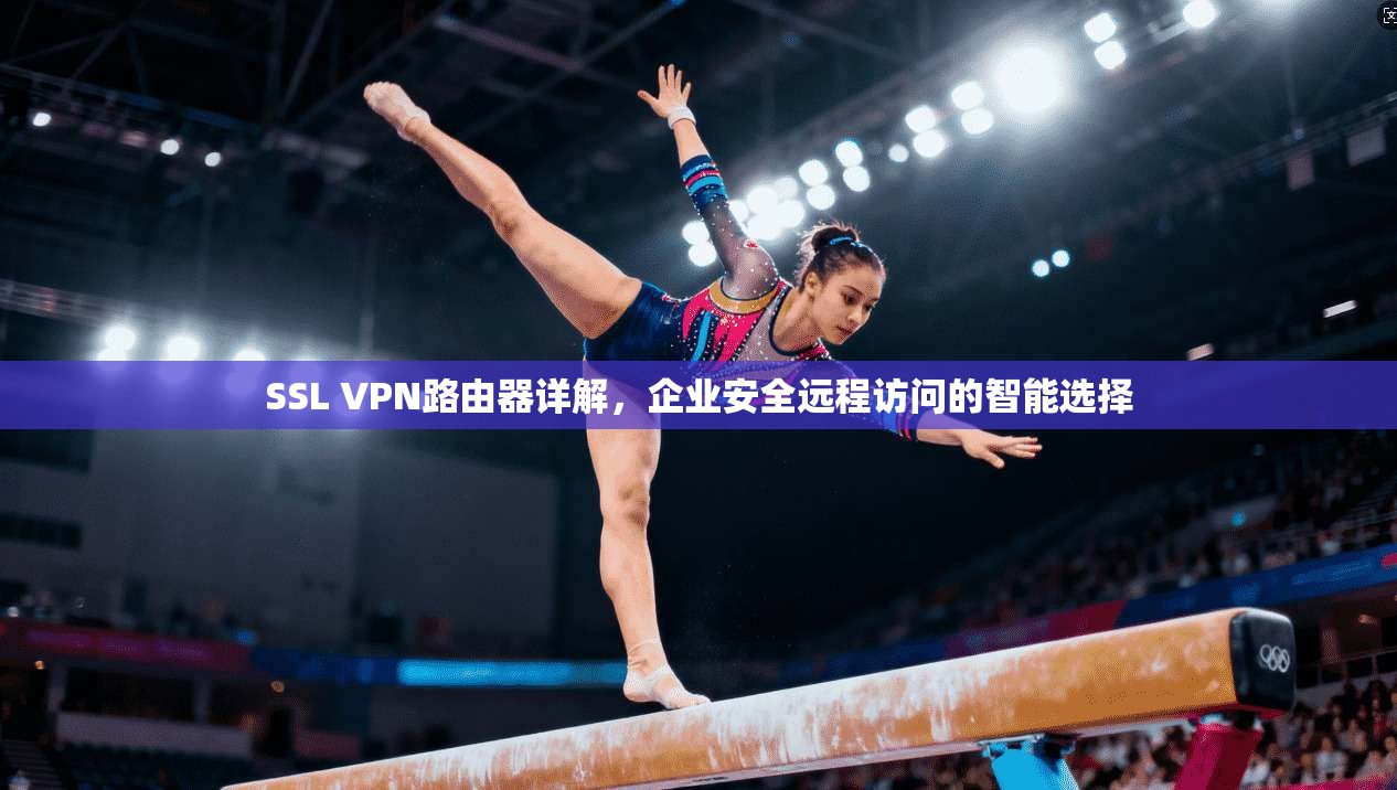 SSL VPN路由器详解,企业安全远程访问的智能选择