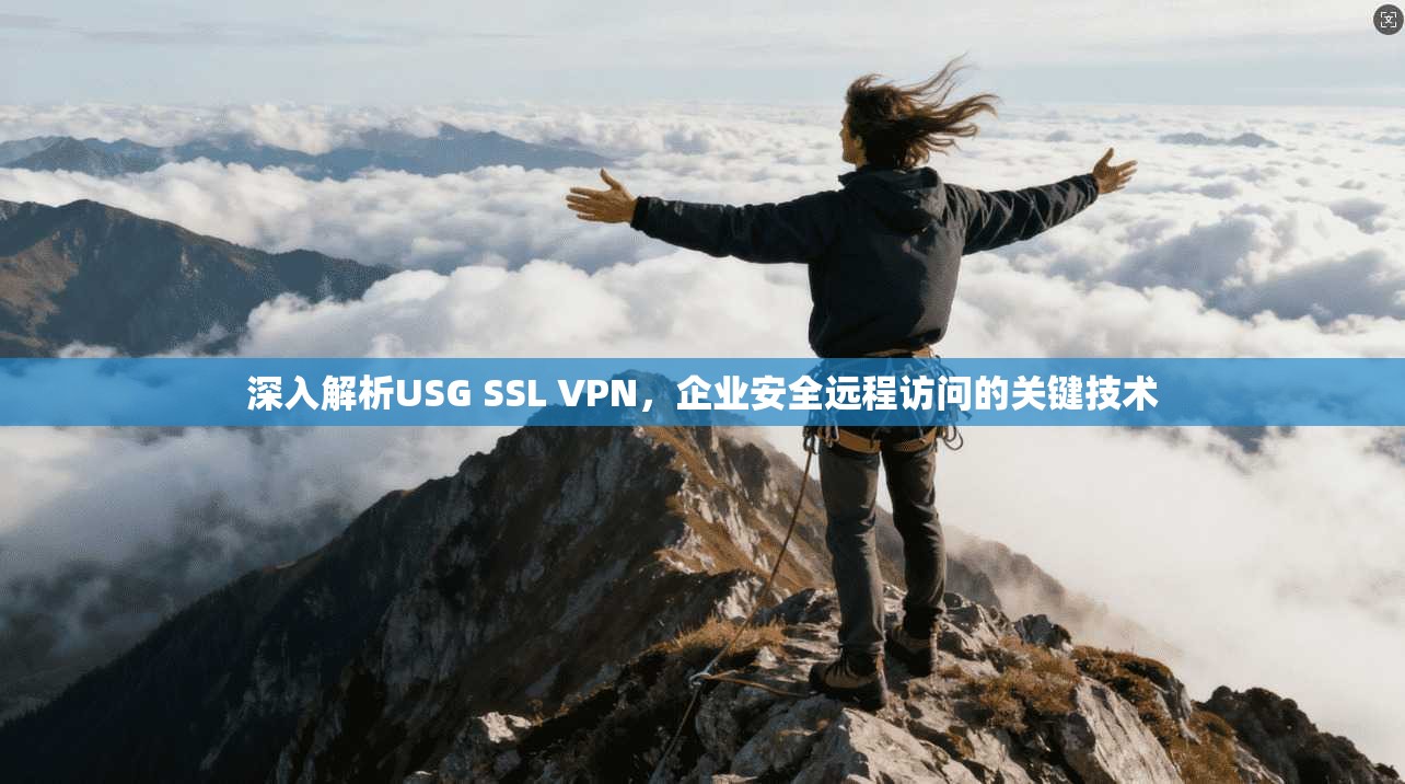 深入解析USG SSL VPN,企业安全远程访问的关键技术