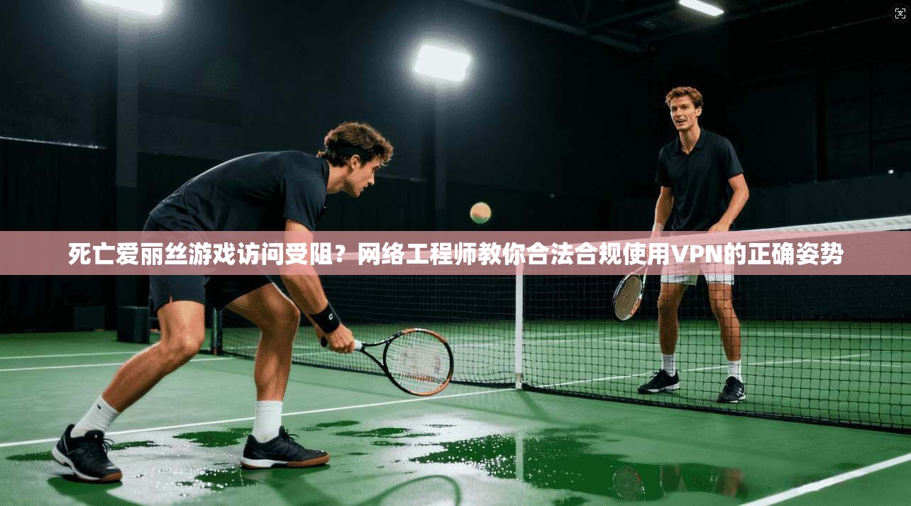 死亡爱丽丝游戏访问受阻？网络工程师教你合法合规使用VPN的正确姿势