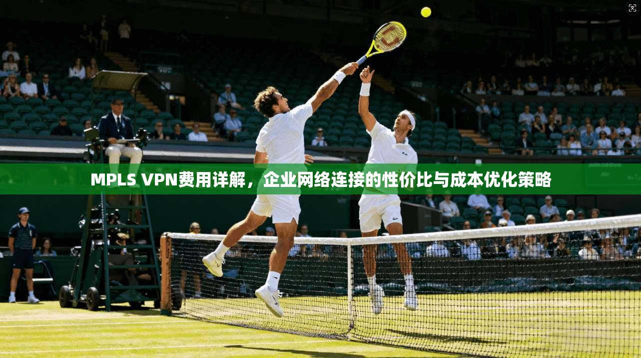 MPLS VPN费用详解，企业网络连接的性价比与成本优化策略