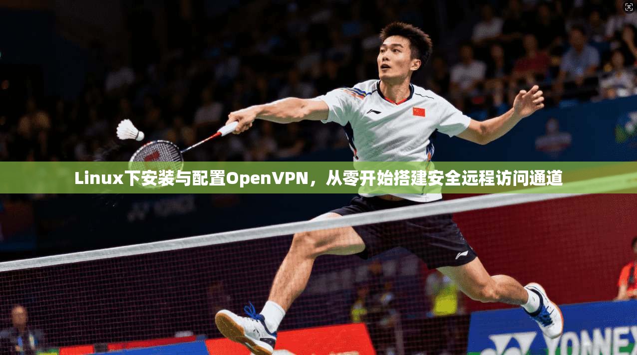 Linux下安装与配置OpenVPN，从零开始搭建安全远程访问通道