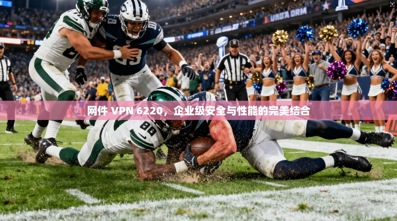 网件 VPN 6220，企业级安全与性能的完美结合