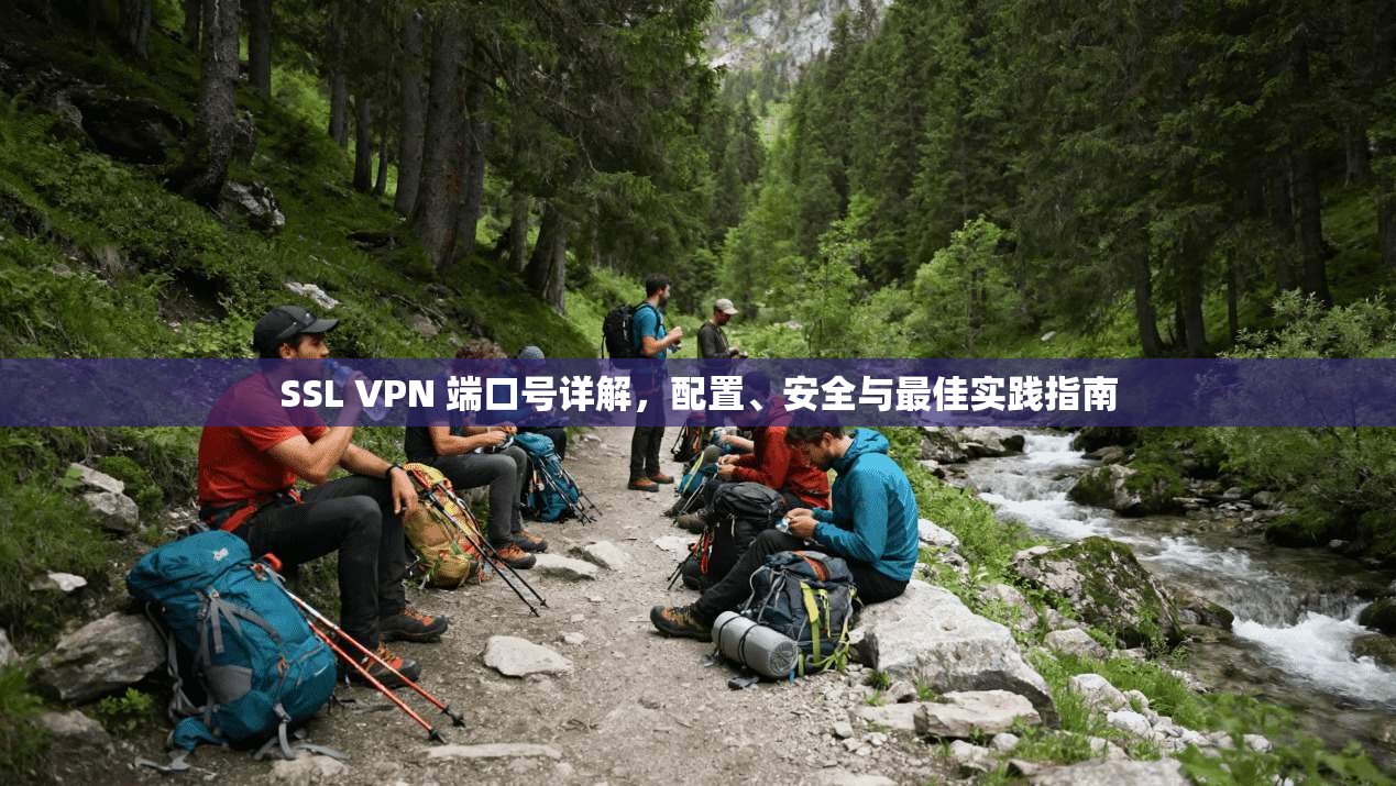 SSL VPN 端口号详解，配置、安全与最佳实践指南