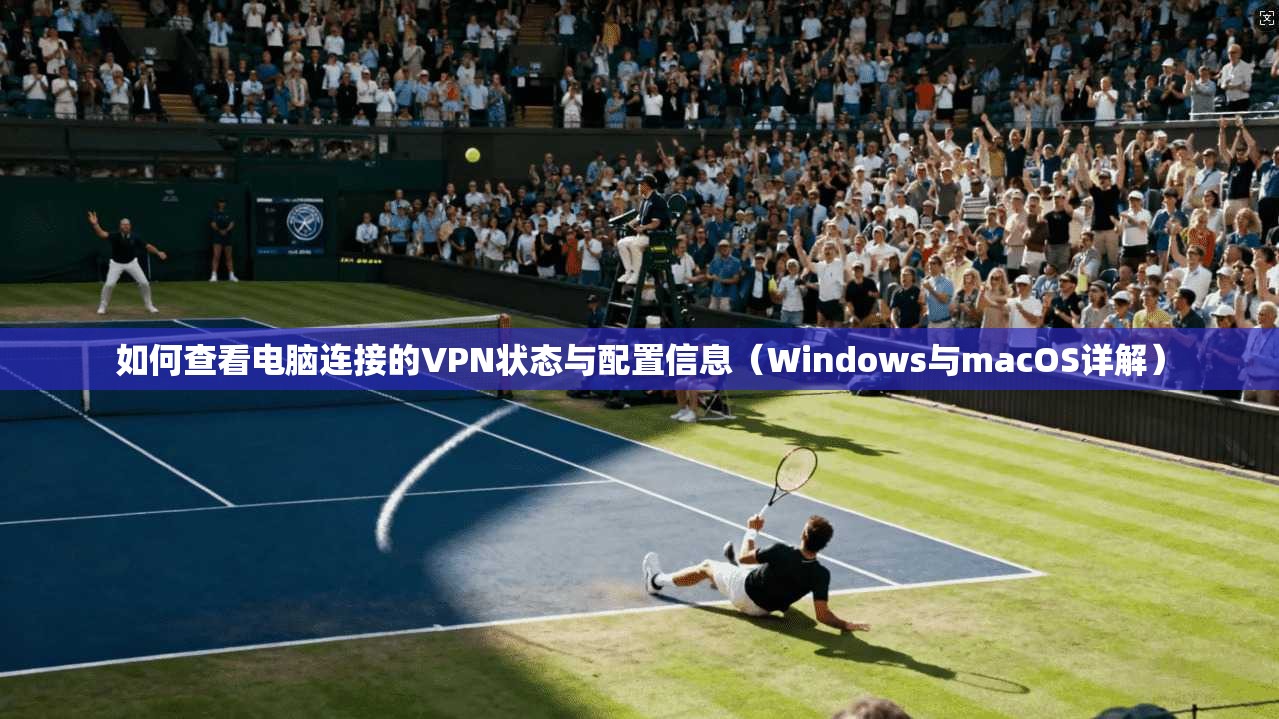 如何查看电脑连接的VPN状态与配置信息(Windows与macOS详解)