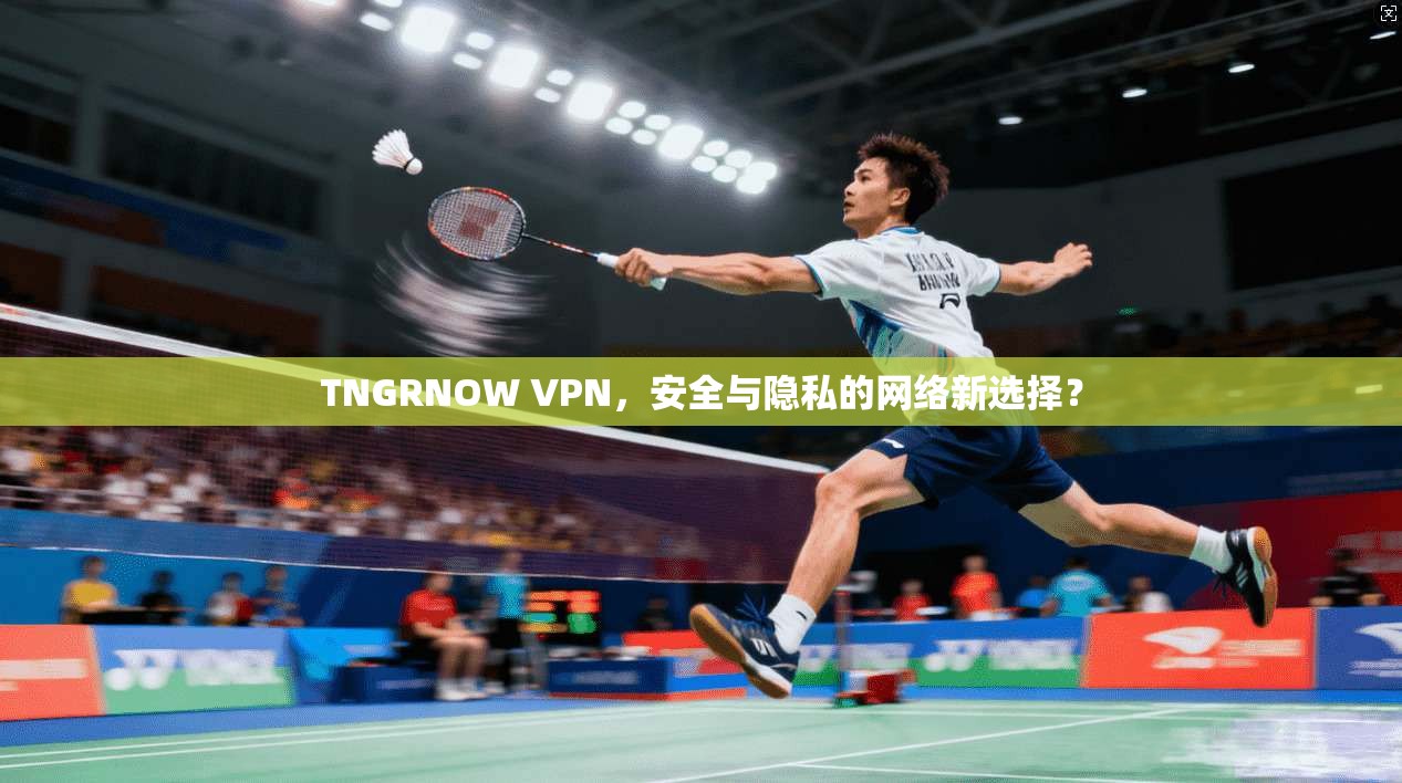 TNGRNOW VPN,安全与隐私的网络新选择?