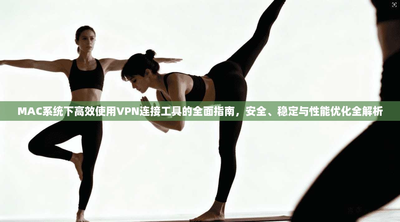 MAC系统下高效使用VPN连接工具的全面指南,安全、稳定与性能优化全解析