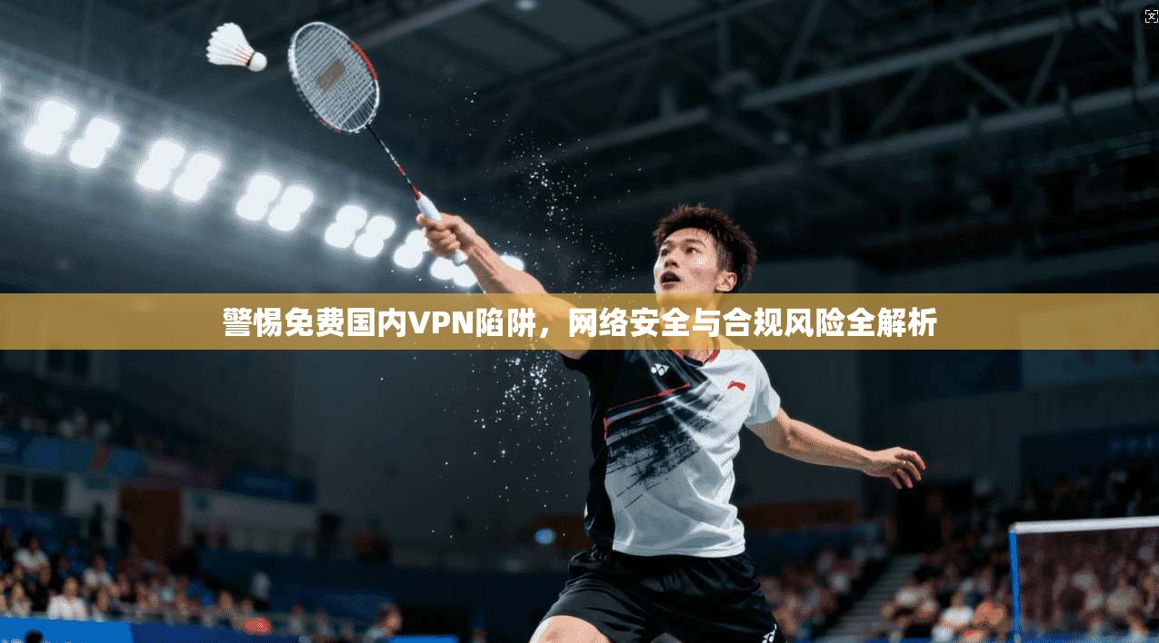 警惕免费国内VPN陷阱,网络安全与合规风险全解析