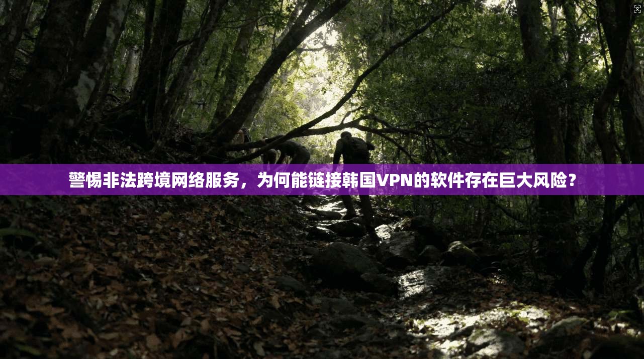 警惕非法跨境网络服务,为何能链接韩国VPN的软件存在巨大风险?