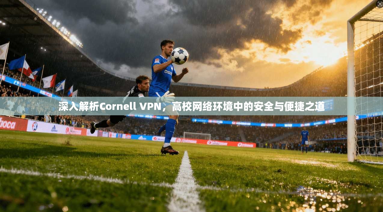 深入解析Cornell VPN，高校网络环境中的安全与便捷之道