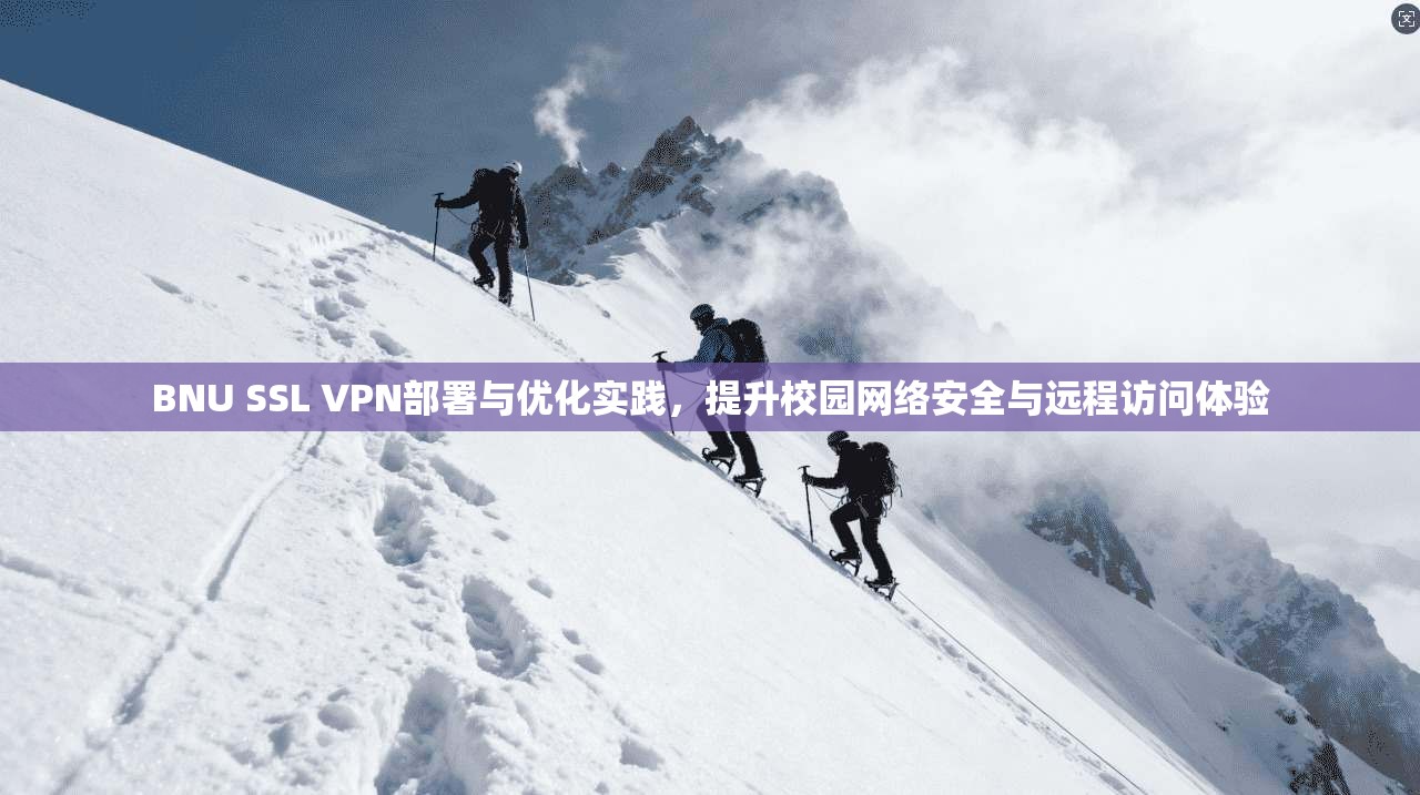 BNU SSL VPN部署与优化实践，提升校园网络安全与远程访问体验