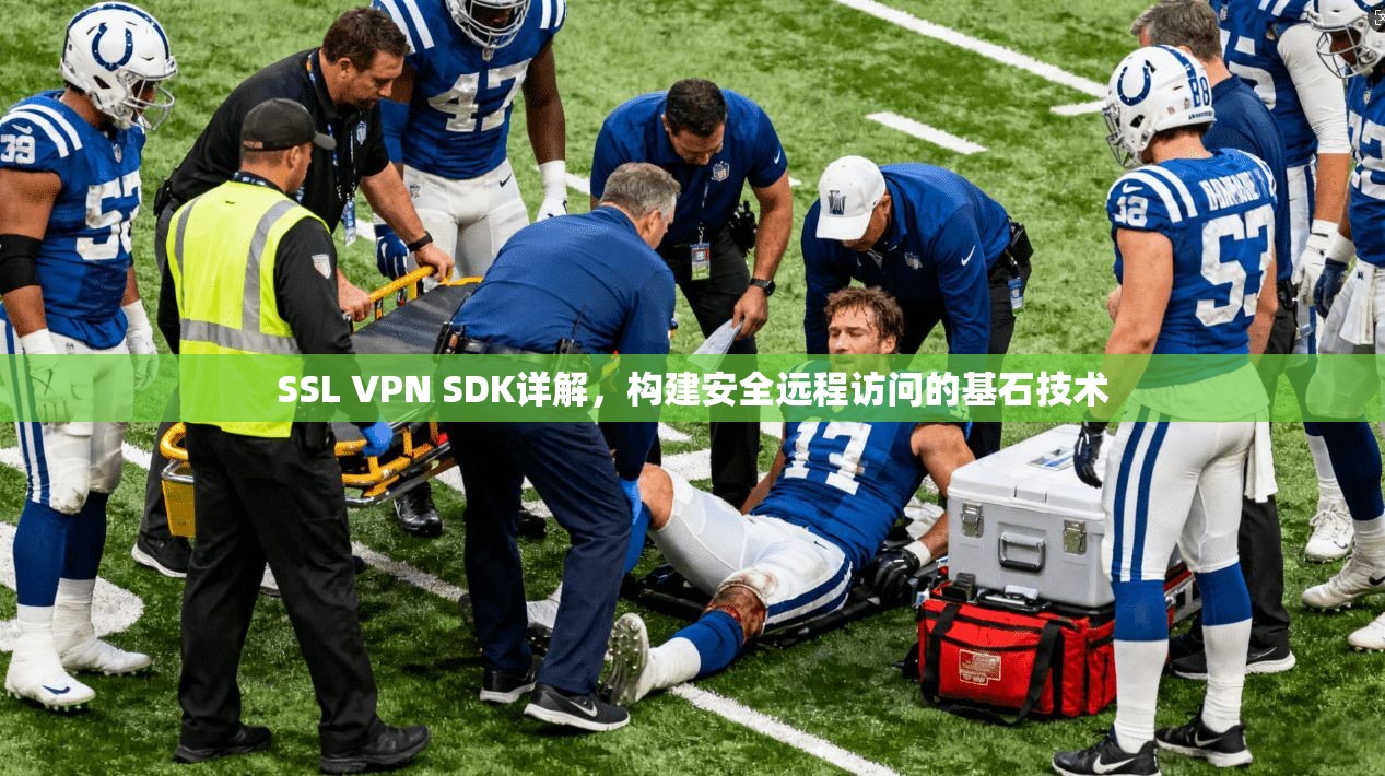 SSL VPN SDK详解，构建安全远程访问的基石技术