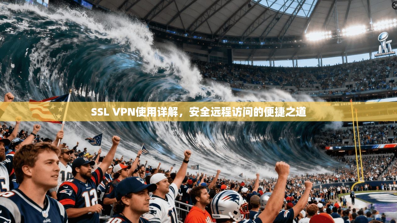 SSL VPN使用详解,安全远程访问的便捷之道