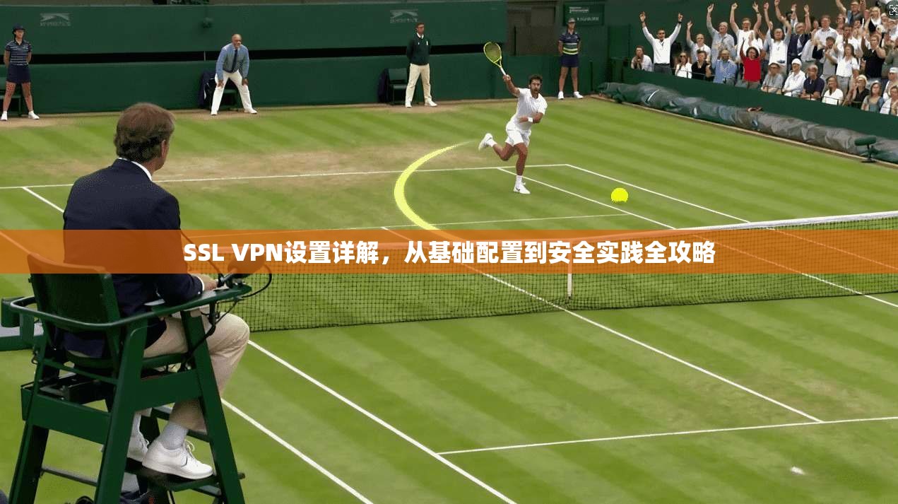 SSL VPN设置详解，从基础配置到安全实践全攻略